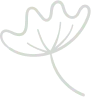 Organizer Shape