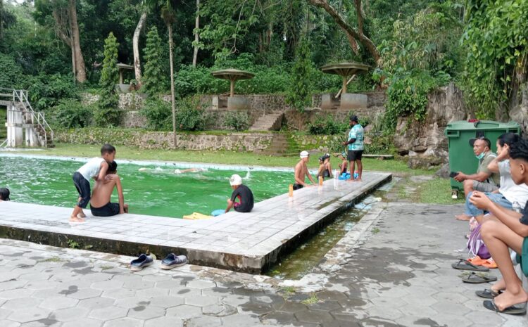 A Global Platform for Grassroots and Elite Swimmers